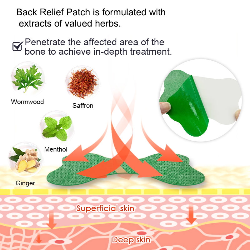 60/6 PCS Lumbar Pain Patch Wor - đánh giá và giá Herbal Zone